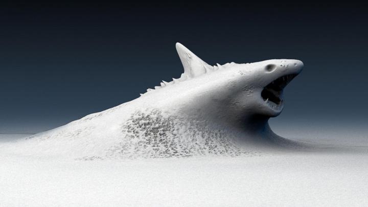 Hd Shark Desktop Wallpapers