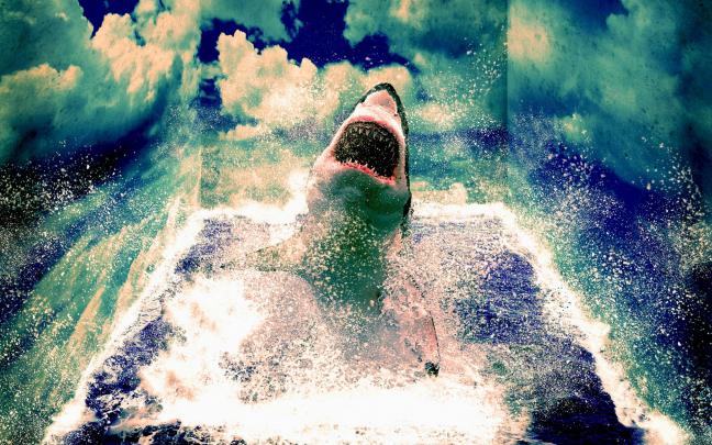 animals, Sharks, Manipulation, Art, Cg, Digital, Artistic, 3d 