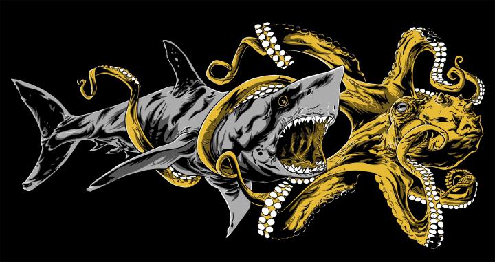 octopus, Shark, Artwork, Animals Wallpapers HD \/ Desktop and Mobile 