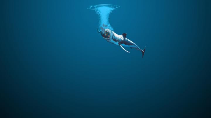 shark, Artwork Wallpapers HD \/ Desktop and Mobile Backgrounds