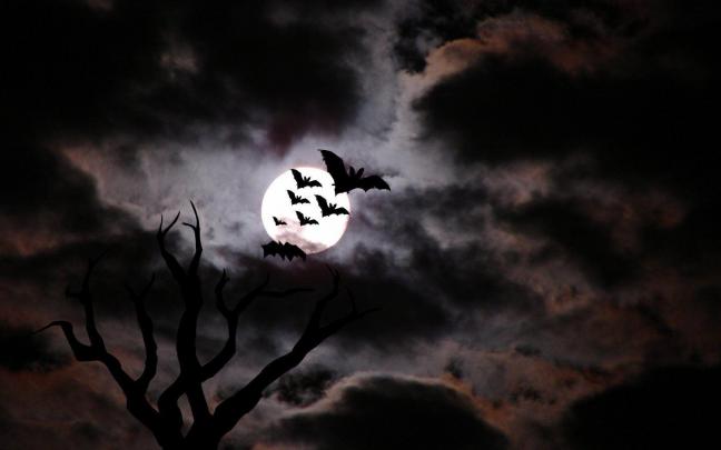 Scary Halloween Wallpapers Free