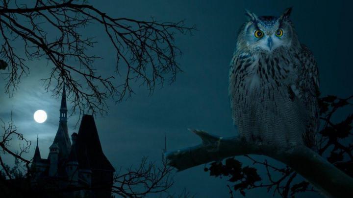 Scary Halloween Wallpapers
