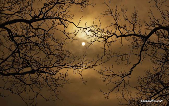Scary Halloween Wallpapers and Screensavers (58+ images)