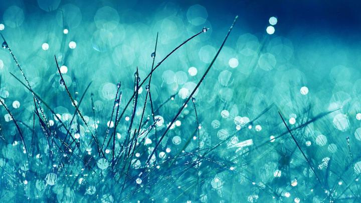 Desktop Wallpaper Teal Blue | Best Wallpaper HD | Nature, Grass 