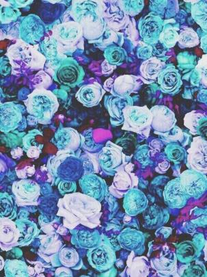 Teal Purple Wallpapers
