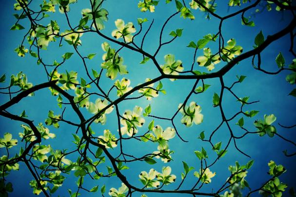 Unique Desktop Backgrounds (60+ images)