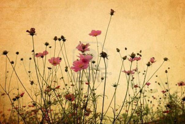 Vintage Desktop Wallpapers Free