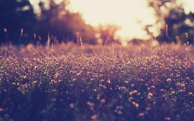 Vintage Wallpaper HD (84+ pictures)