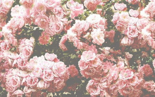 Desktop Aesthetic Vintage Wallpapers