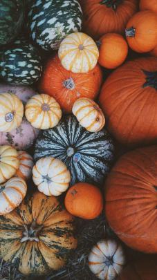 VSCO Fall Wallpapers