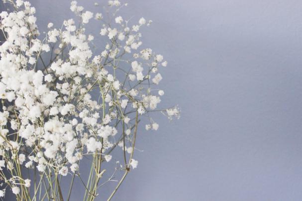 VSCO Flowers Desktop Wallpapers