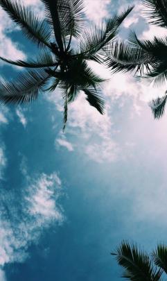 VSCO HD Wallpapers