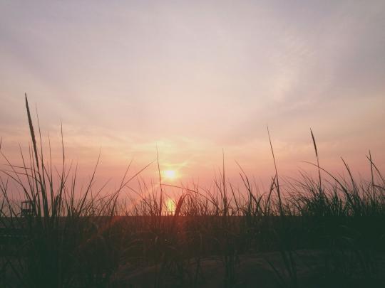 VSCO PC Wallpapers
