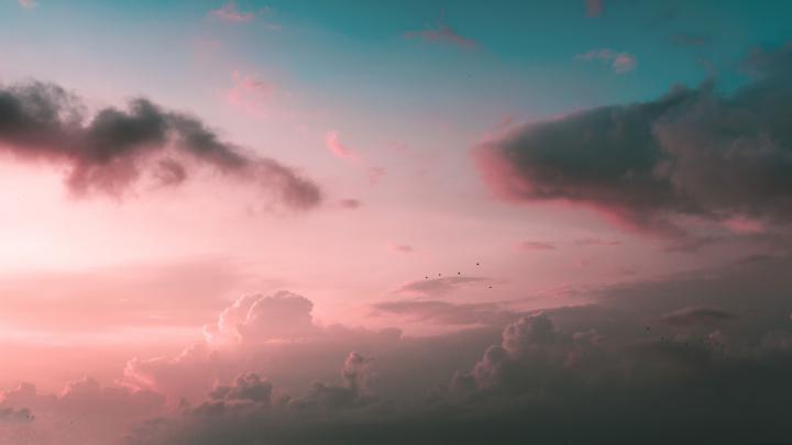 VSCO Desktop Wallpapers