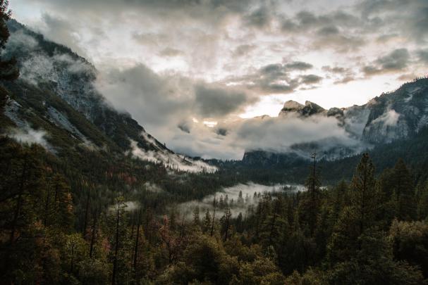 VSCO Summer Desktop Wallpapers