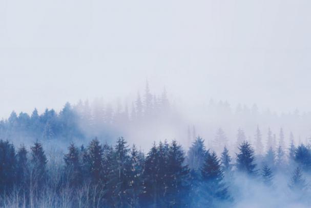 BTS Desktop Wallpapers