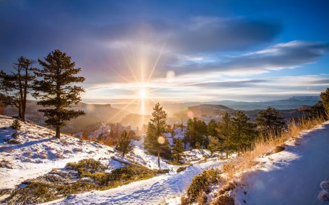 landscape, Winter, Forest Wallpapers HD \/ Desktop and Mobile Backgrounds