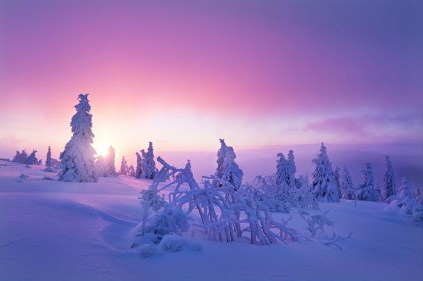 winter, Snow, Nature, Purple Wallpapers HD \/ Desktop and Mobile Backgrounds
