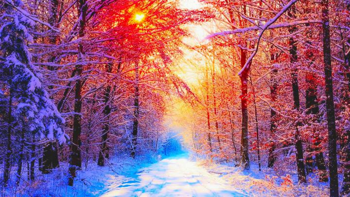 Winter Pictures Backgrounds \u00b7\u2460 