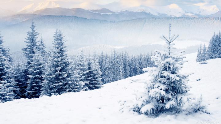 Winter Wallpaper Desktop \u00b7\u2460 