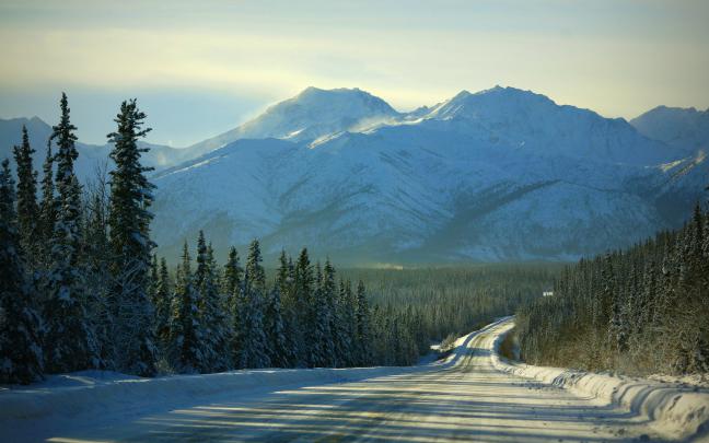 forest winter mountains - HD Desktop Wallpapers