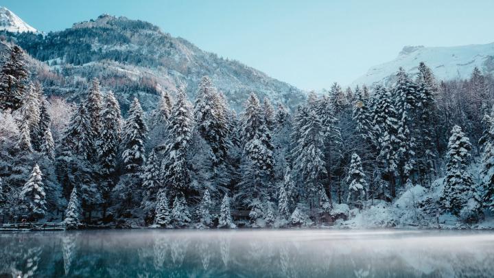 Wallpaper : Switzerland, winter, reflection, forest 1920x1080 - mowen 