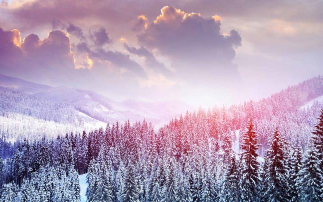 Cute Winter Desktop Wallpaper (68+ images)