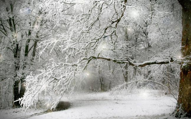 Winter Snow Backgrounds