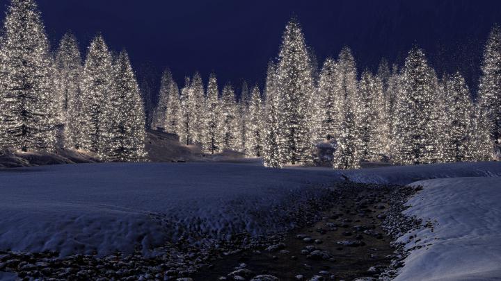 Night View of Winter Season Wallpaper | HD Wallpapers