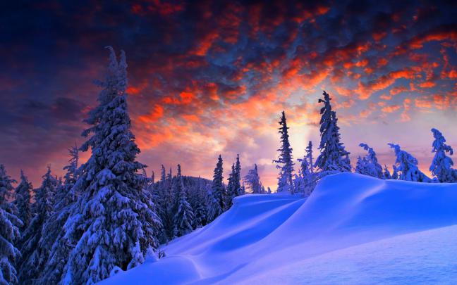 winter, Snow Wallpapers HD \/ Desktop and Mobile Backgrounds