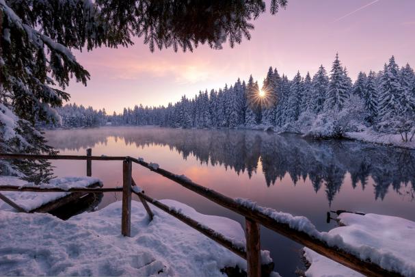 Winter Snow Trees Nature Outdoors, HD Nature, 4k Wallpapers, Images 