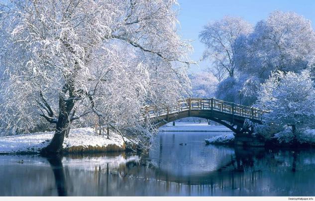 Winter Scene Desktop Wallpaper