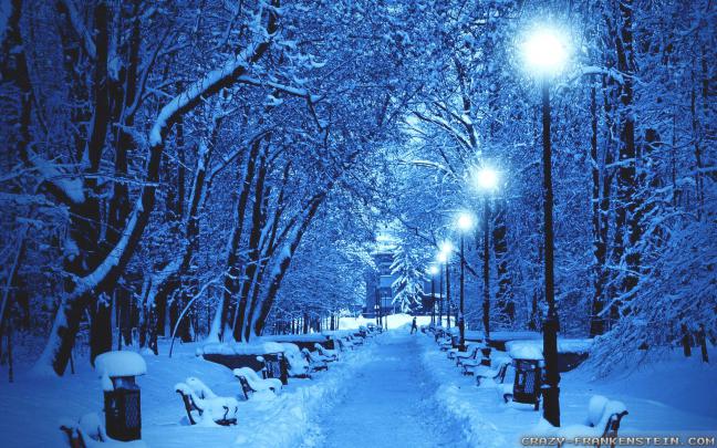 Winter Scene Backgrounds \u00b7\u2460 