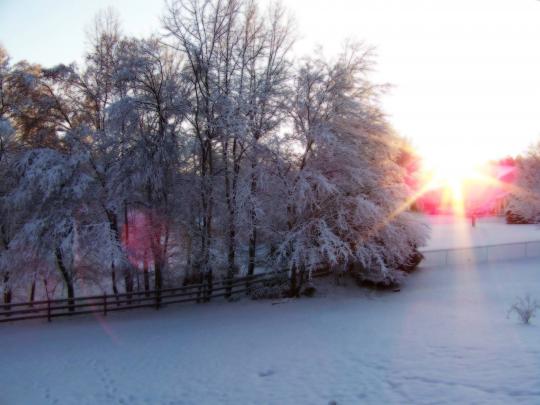 Wallpapers Desktop Winter Scenes