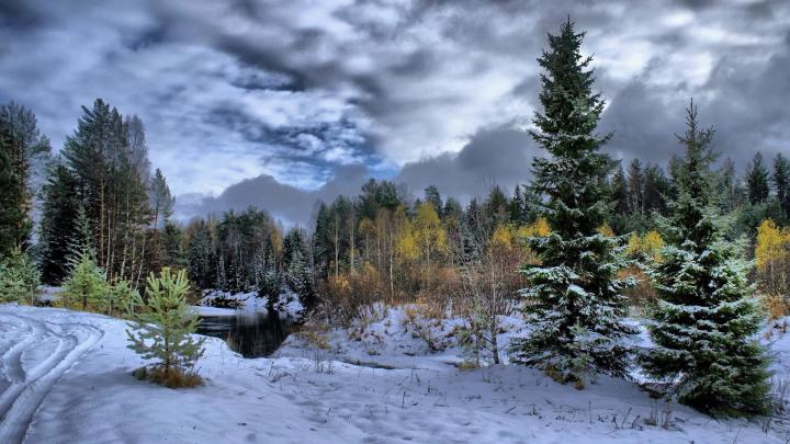 Winter Scene Backgrounds \u00b7\u2460 