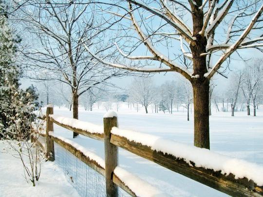 Winter Scenes Desktop Wallpapers