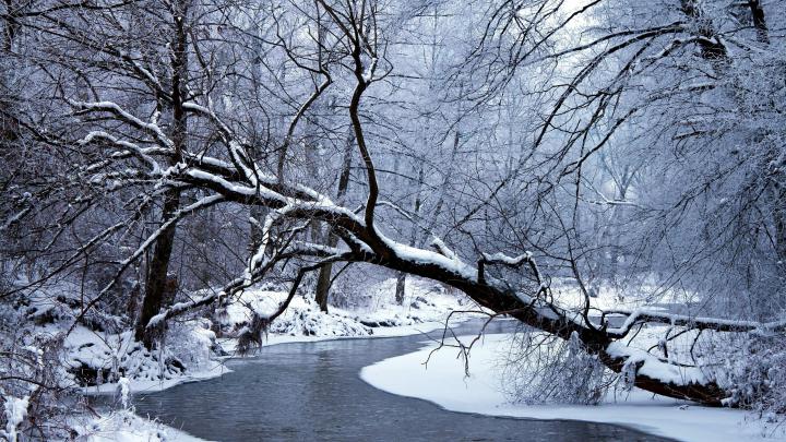 Winter Wallpaper Scenes \u00b7\u2460 