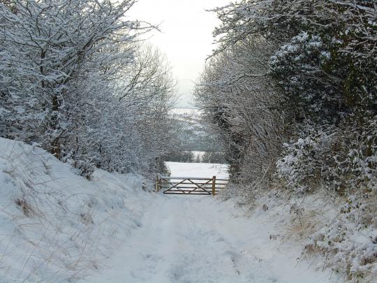 Desktop Wallpaper Winter Scenes \u00b7\u2460 