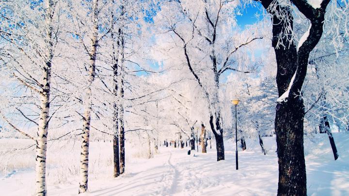 winter wallpaper scenes - HD Desktop Wallpapers