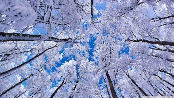 Desktop Wallpaper Winter Scenes \u00b7\u2460 