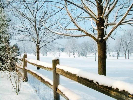 HD Wallpapers: Winter Scenes for Desktop