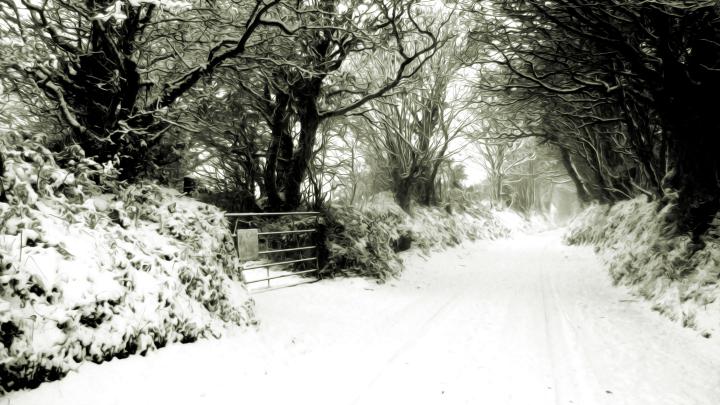 Winter Scene | Free Desktop Wallpapers for Widescreen, HD and Mobile