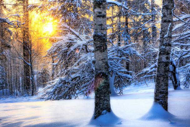 Desktop Wallpaper Winter Scenes \u00b7\u2460 