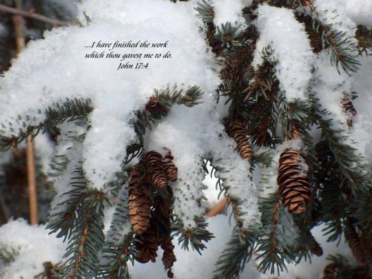 HD Wallpapers: Winter Scenes for Desktop