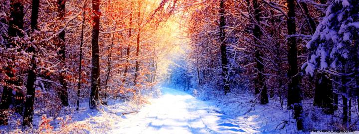 Winter Scenes Hd Desktop Wallpaper Widescreen High - Winter Wallpaper 