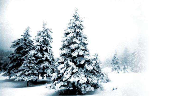 Winter Scene | Free Desktop Wallpapers for Widescreen, HD and Mobile
