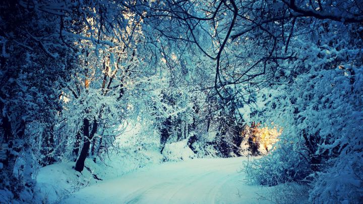 Winter Scene Desktop Background (51+ pictures)