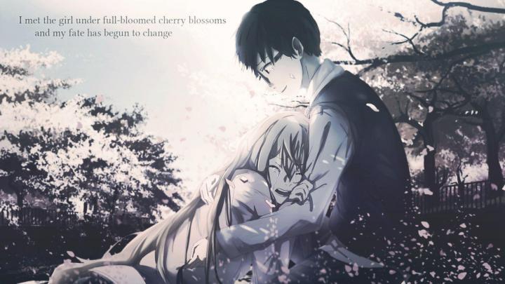 Your Lie In April Wallpapers