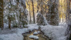 Winter Desktop Wallpaper Hd