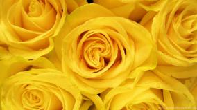 Yellow Aesthetic Wallpaper Desktop